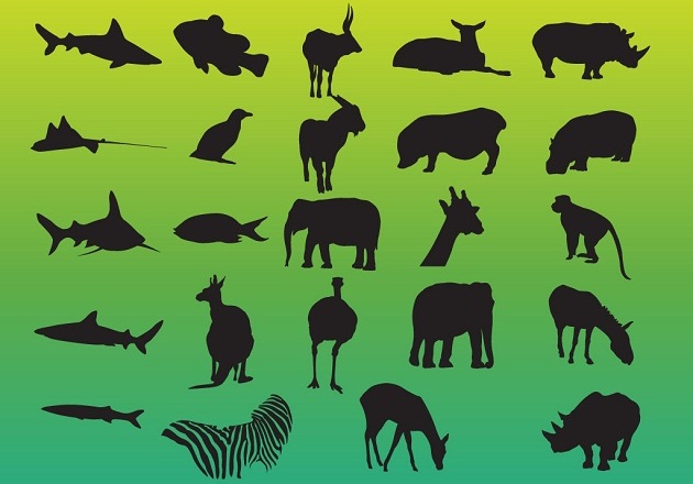 animals variety