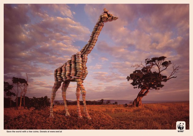 giraffe.jpg?w=630&h=445